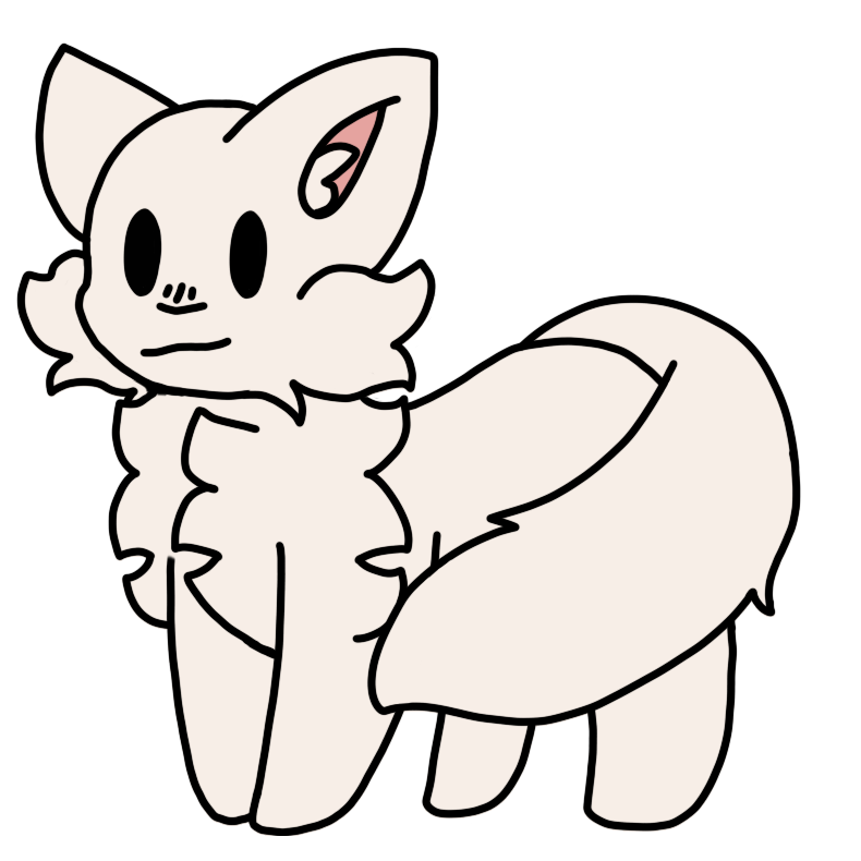 a fluffy white cat